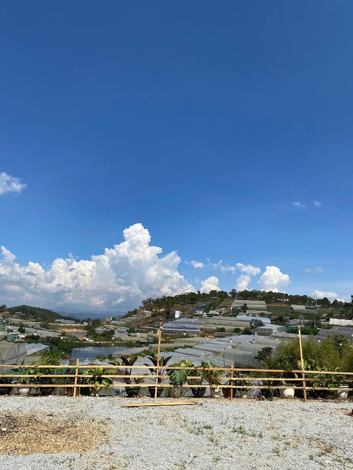 Homestay Đà Lạt 1000m² giá 15 triệu - View Nhà Lồng tuyệt đẹp!