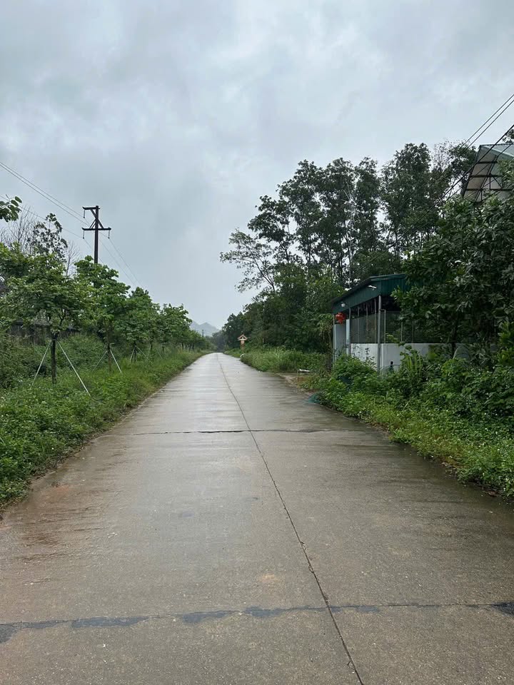 Đất nền đẹp tại phường Tây Hoa Lư, Ninh Bình, 700m² - Đường thông tứ phía, giá thỏa thuận!