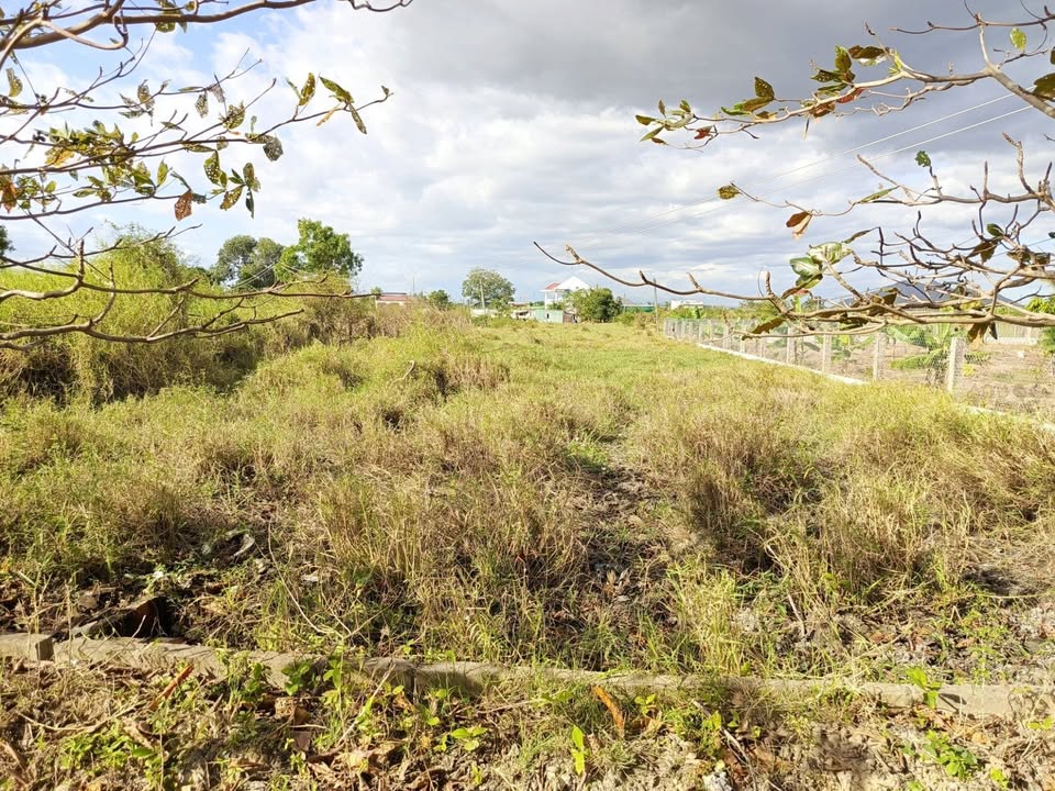 Lô đất nông nghiệp Phú Cường, 947m² giá 800 triệu - Đầu tư lý tưởng gần Phan Thiết