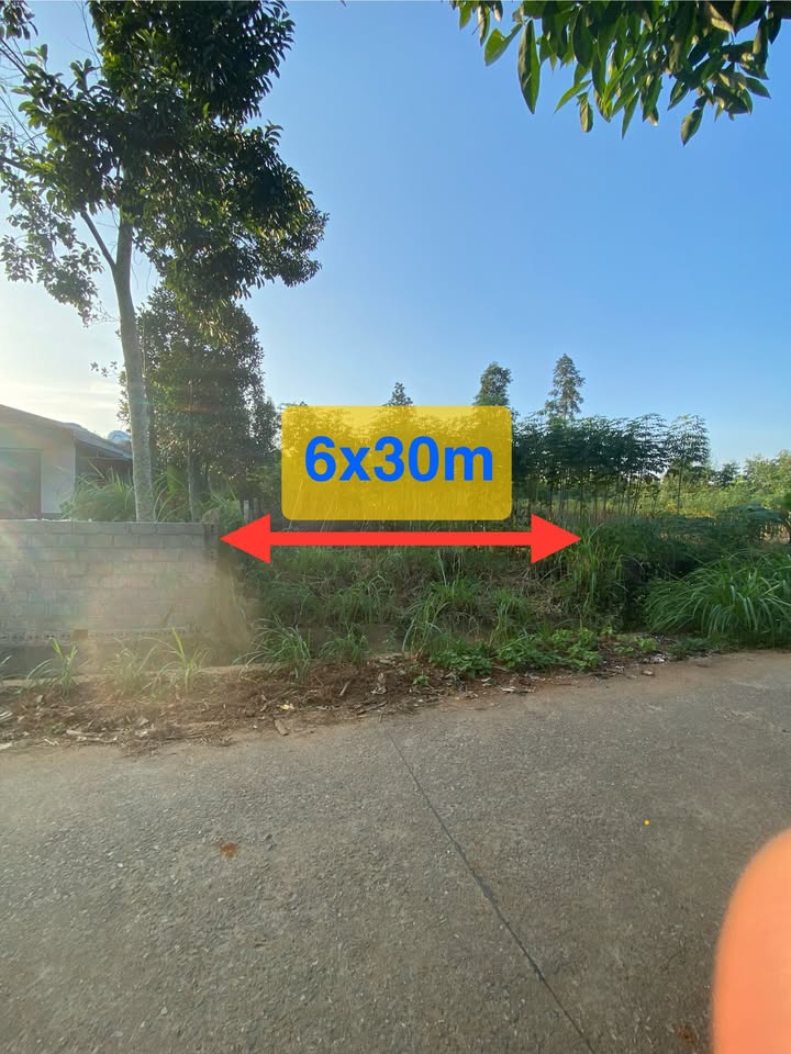 Đất nền Cự Đồng Thanh Sơn 173m² giá 300 triệu - Tiềm năng đầu tư hấp dẫn!