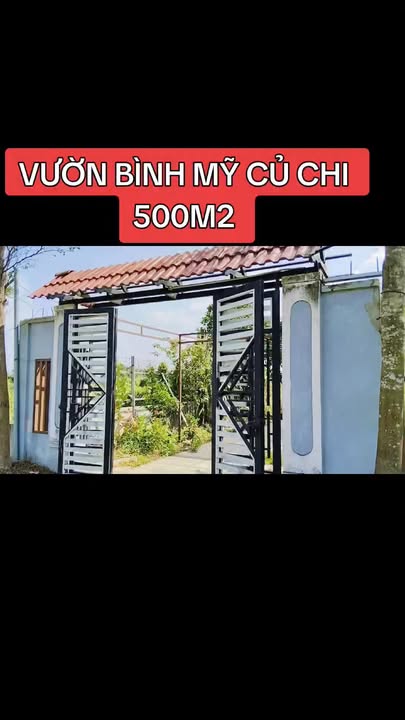 Đất vườn đẹp Bình Mỹ, Củ Chi 500m² giá 2.99 tỷ - Tiềm năng đầu tư lớn!