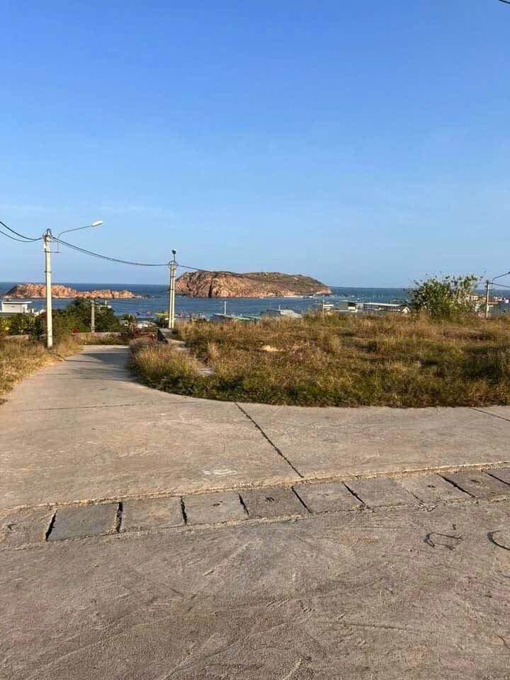 Đất nền Nhơn Hải - Quy Nhơn 65m² giá 1 tỷ - Cơ hội đầu tư homestay tuyệt vời!