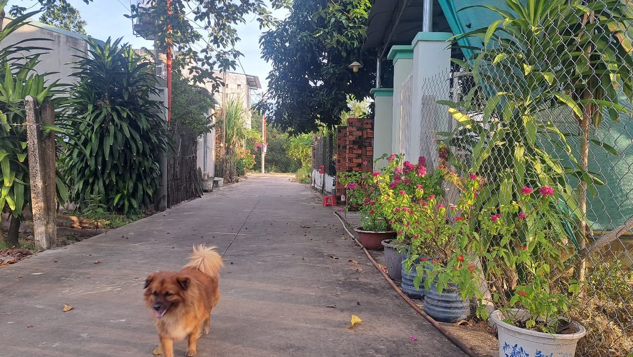 Đất thổ cư 68m² tại Phường Bình Minh, Tây Ninh, giá 399 triệu - Đầu tư sinh lời ngay!