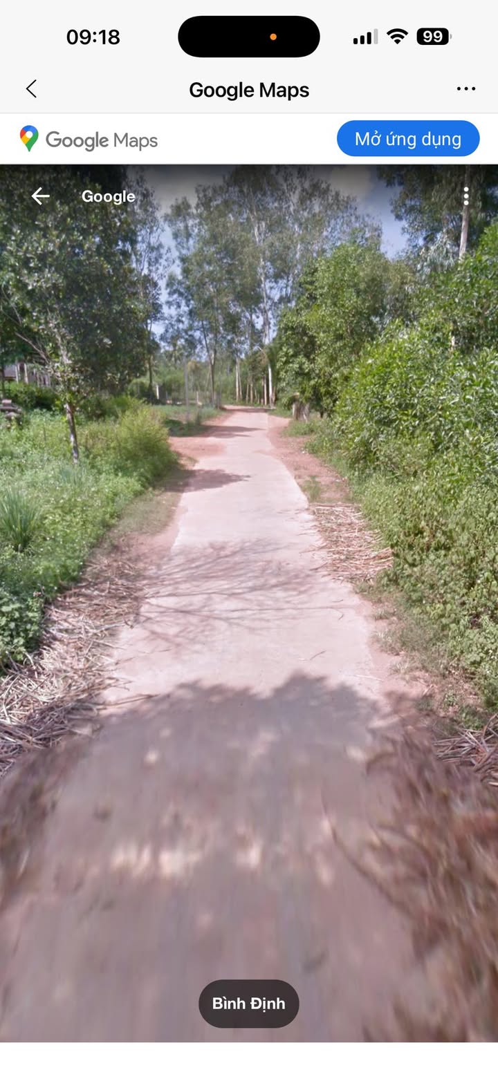 Đất trồng cây tại khu phố Thiết Đính Bắc, phường Bồng Sơn 331m² - Vị trí 2 mặt tiền thuận lợi!