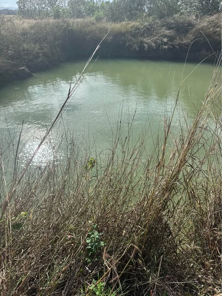 Đất trống 6 sào tại xã Ea H'leo, Đắk Lắk giá 300 triệu - Cơ hội đầu tư tuyệt vời!