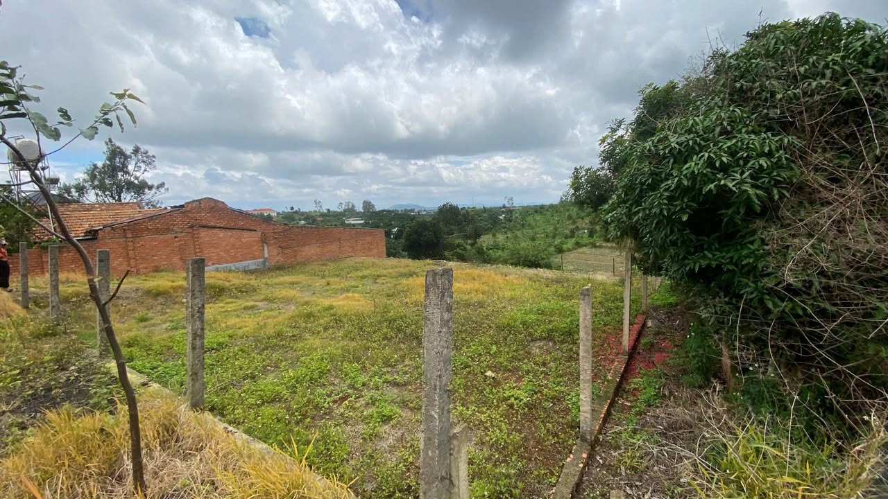 Đất Liên Hiệp, Đức Trọng 558m² giá 4.2 tỷ - Không gian sống lý tưởng!