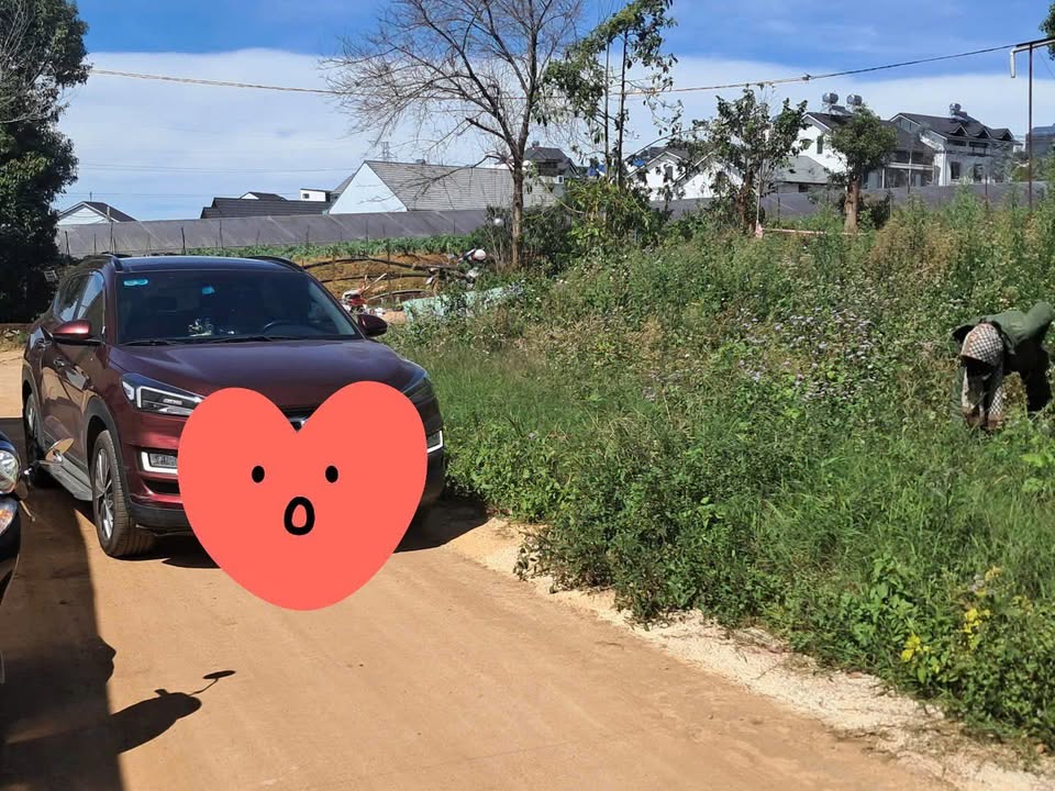 Đất nền đường Thái Phiên, Đà Lạt 50m² giá 1.35 tỷ - Sổ xây dựng phân quyền!