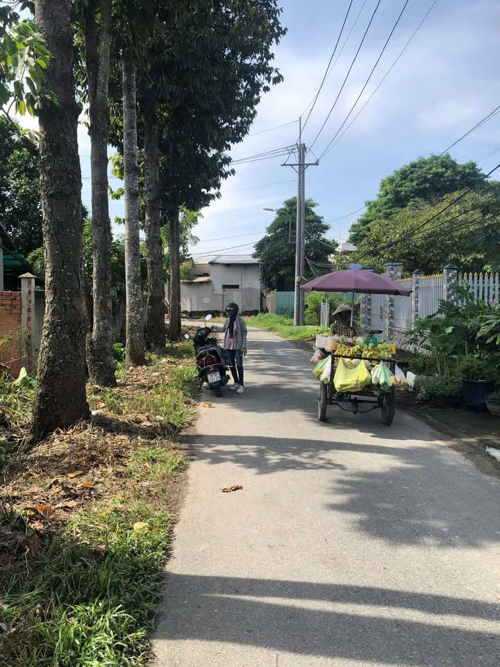 Đất nền Tân Thạnh Đông, Củ Chi 128m² giá 2.5 tỷ - Sổ đỏ chính chủ