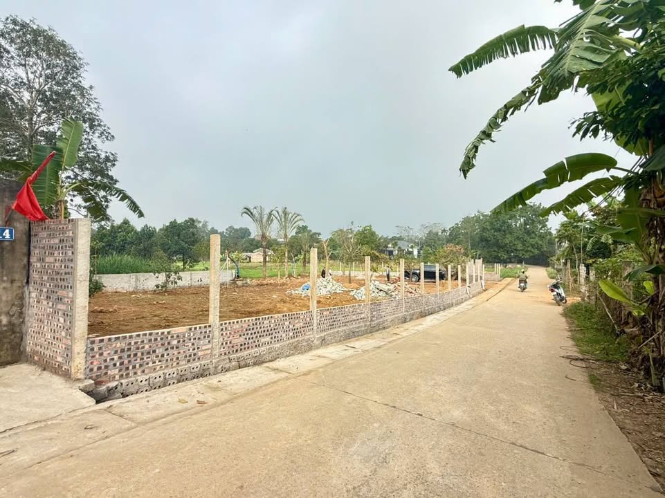 Đất nền Tản Lĩnh Ba Vì 1200m² giá 6 tỷ - View cánh đồng thơ mộng!