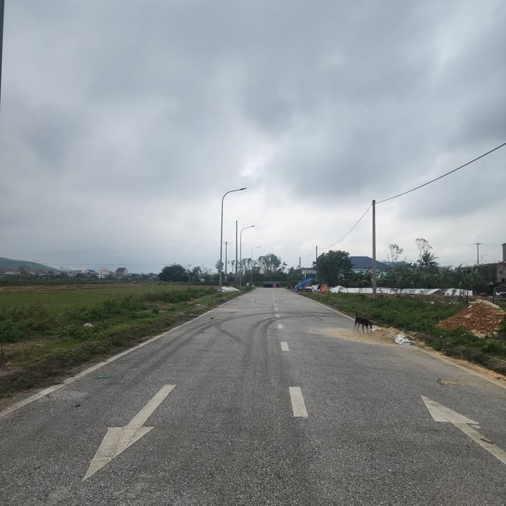 Đất nền Kỳ Đồng, Kỳ Anh 195m² - Vị trí đắc địa, giá thỏa thuận!