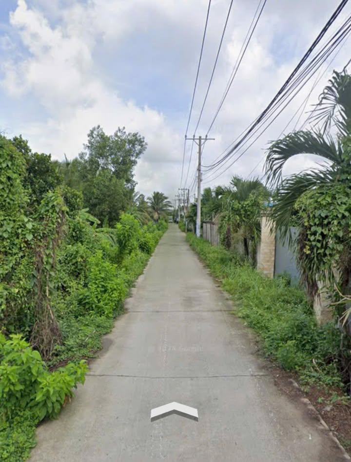 Đất nền 1ha Tân Vĩnh Lộc Bình Chánh giá chỉ 5 triệu/m² - Cơ hội đầu tư hấp dẫn!