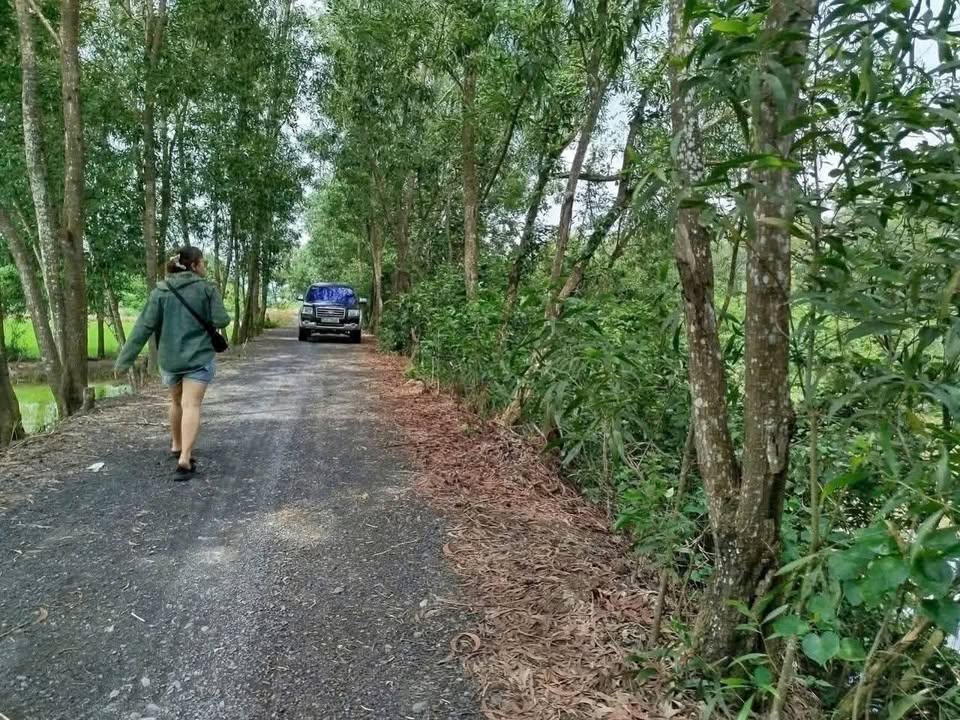 Đất thổ cư An Thạnh Bến Lức 3400m² giá 1.2 tỷ - Cơ hội đầu tư hấp dẫn!