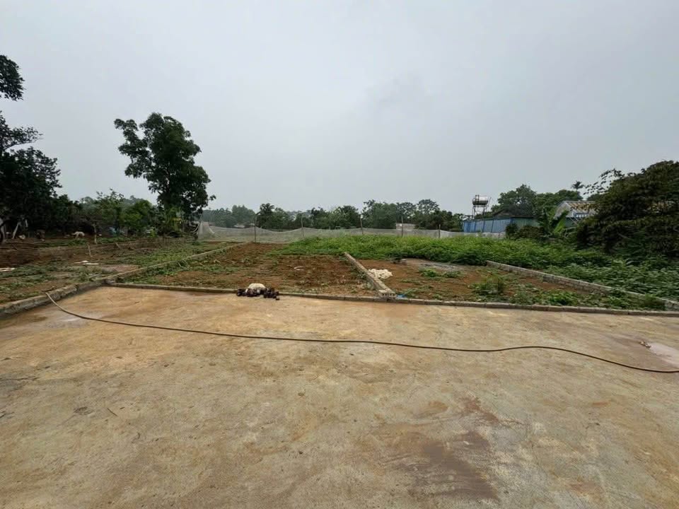 Đất thổ cư 100m² tại Phú Cát, Quốc Oai chỉ 1.58 tỷ - Cơ hội đầu tư tuyệt vời!