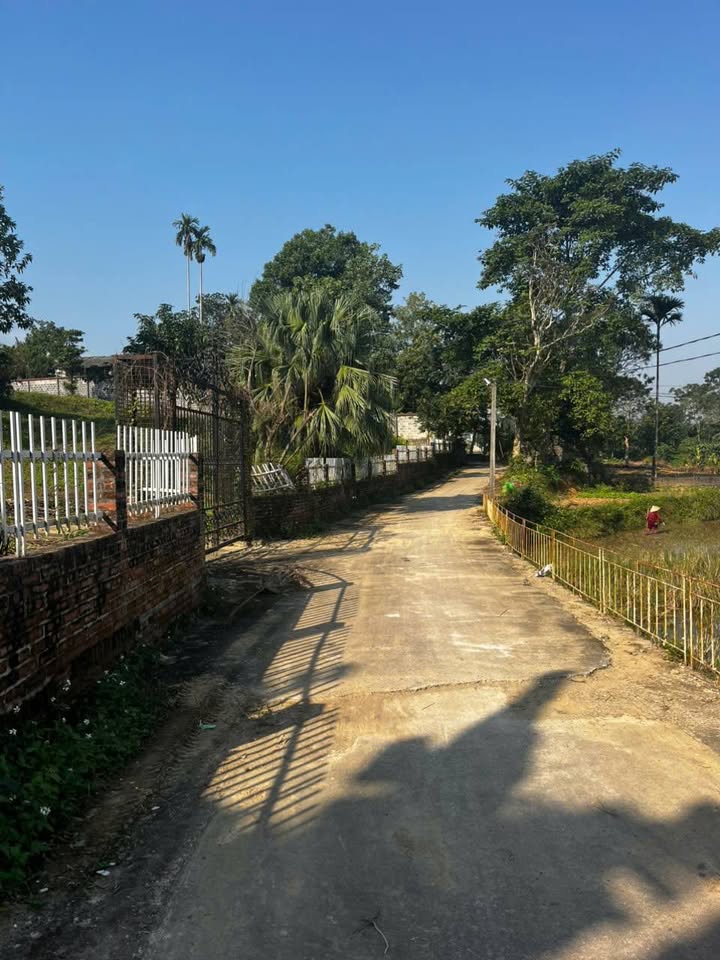 Đất nền Cư Yên Lương Sơn 2227m² - View nghỉ dưỡng tuyệt đẹp gần Hà Nội!