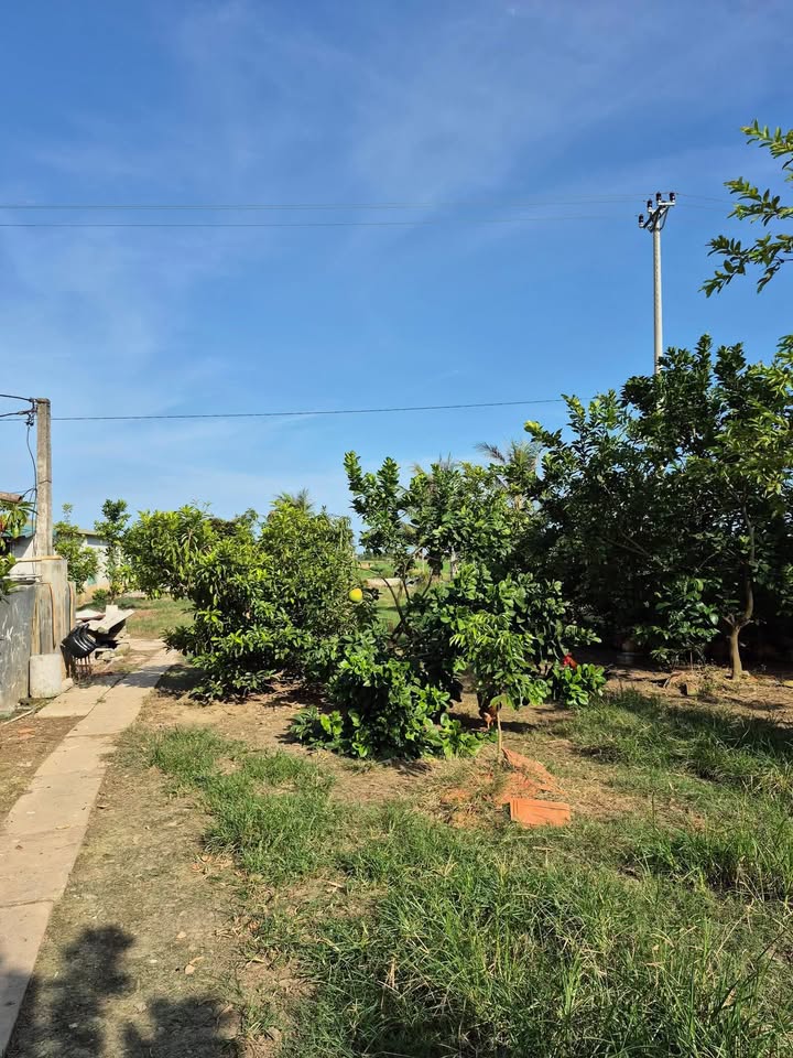 Đất thổ cư 236m² tại xóm 13, Mỹ Hà, Mỹ Lộc - Yên tĩnh, thân thiện!