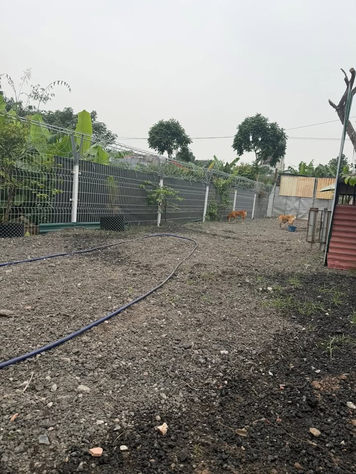 Đất nông nghiệp Ngọc Thụy Long Biên 435m² giá 2.175 tỷ - Sổ đỏ 50 năm