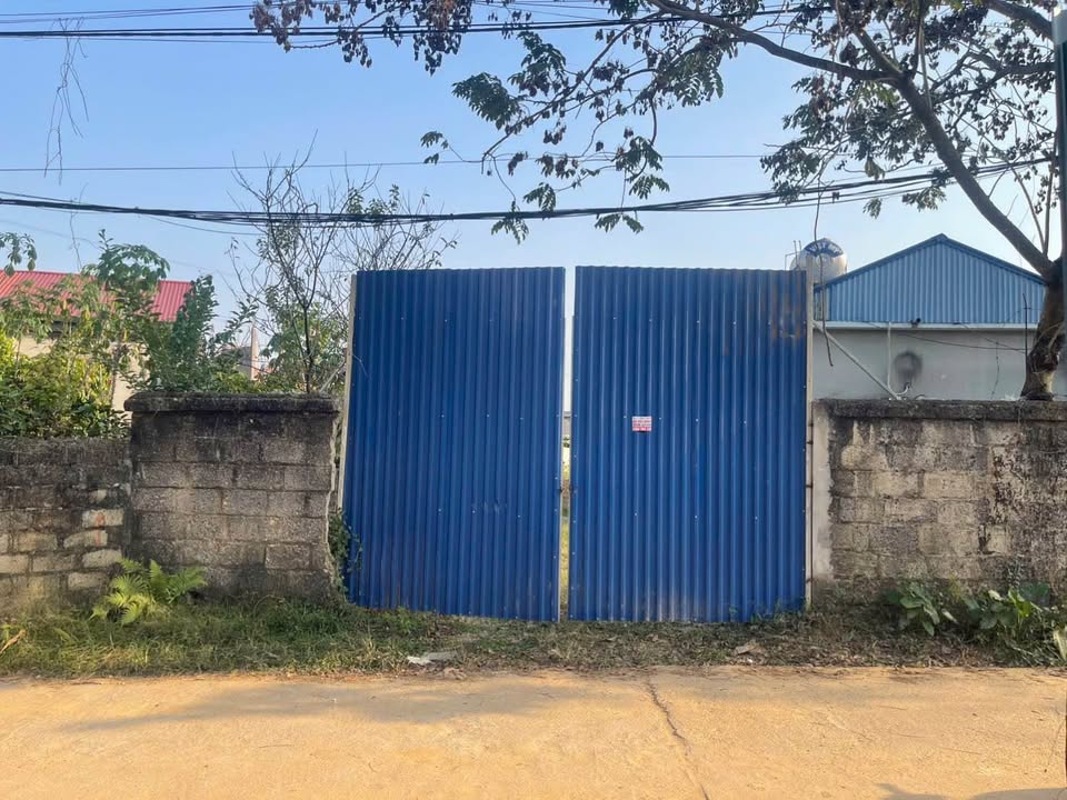 Đất thổ cư 200m² tại Thịnh Đán - Giá chỉ 1 tỷ, cơ hội đầu tư tuyệt vời!