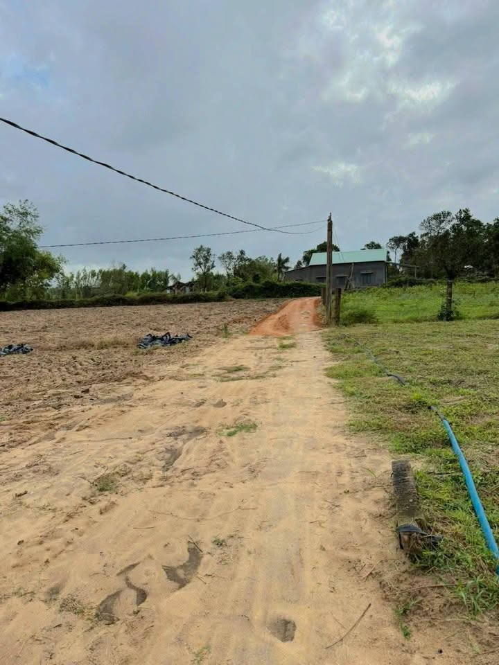 Đất nền Bình Thuận 160m² giá chỉ 1xx triệu - Cơ hội đầu tư tuyệt vời!