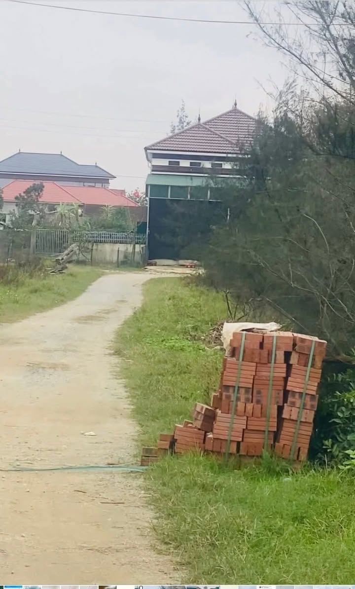 Đất nền thôn Tân Trường, Cẩm Thăng 325.5m² giá chỉ 900 triệu - Đường 10m quy hoạch