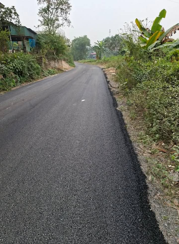 Đất Phù Ninh Phú Thọ 418.6m² giá tốt - Lưng tựa sơn, view thoáng mát!