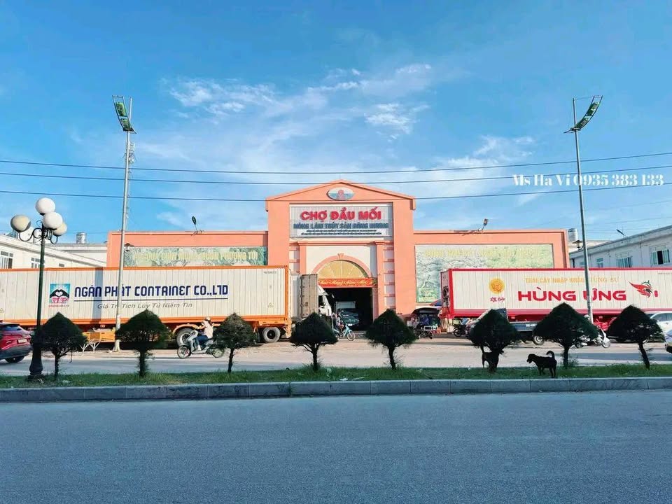 Nhà kinh doanh 3 tầng tại chợ đầu mối Đông Hương 100m² giá 10 tỷ - Vị trí đắc địa!