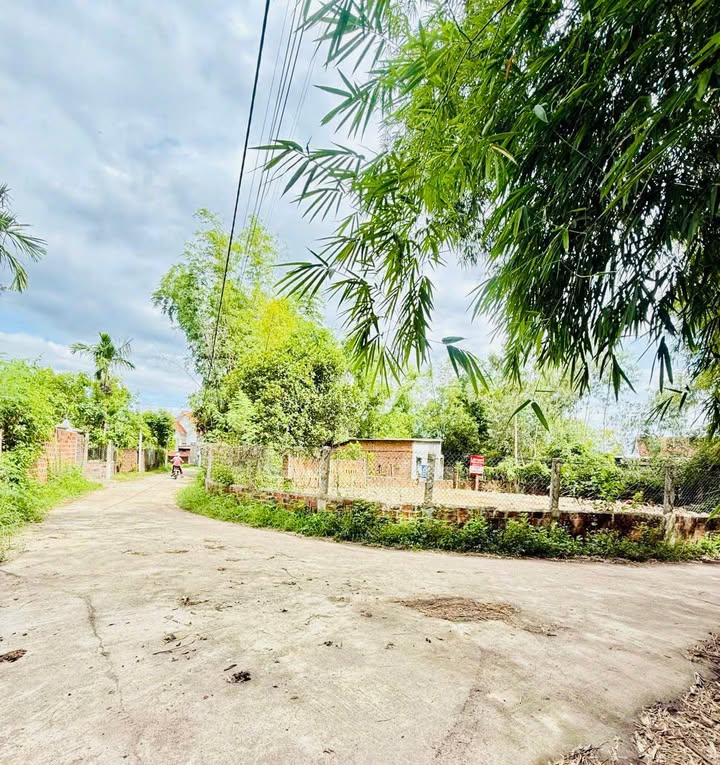 Đất nền lô góc Kiều An - Cát Tân - Phù Cát 90m² giá chỉ 185 triệu - Đường ô tô vào tận nơi!