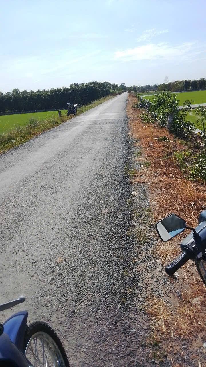 Đất nông nghiệp 5 công tại Ấp Tân Hậu A1, Tân An, An Giang - Giá chỉ 1.5 tỷ!