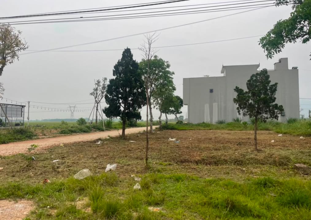 Đất nền xã Hợp Thành - Triệu Sơn 100m² giá 700 triệu - Đầu tư sinh lời cao!