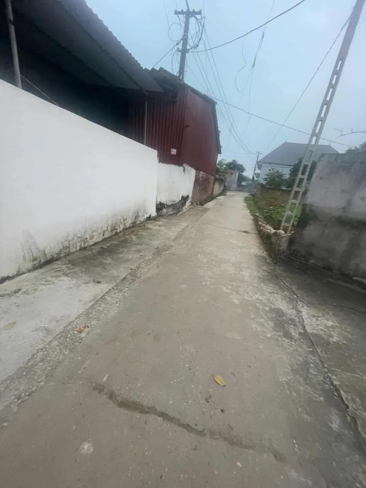 Bán đất Nghĩa Trung, Việt Yên 195m² - Giá chỉ 1.3 tỷ, ô tô vào tận nơi!