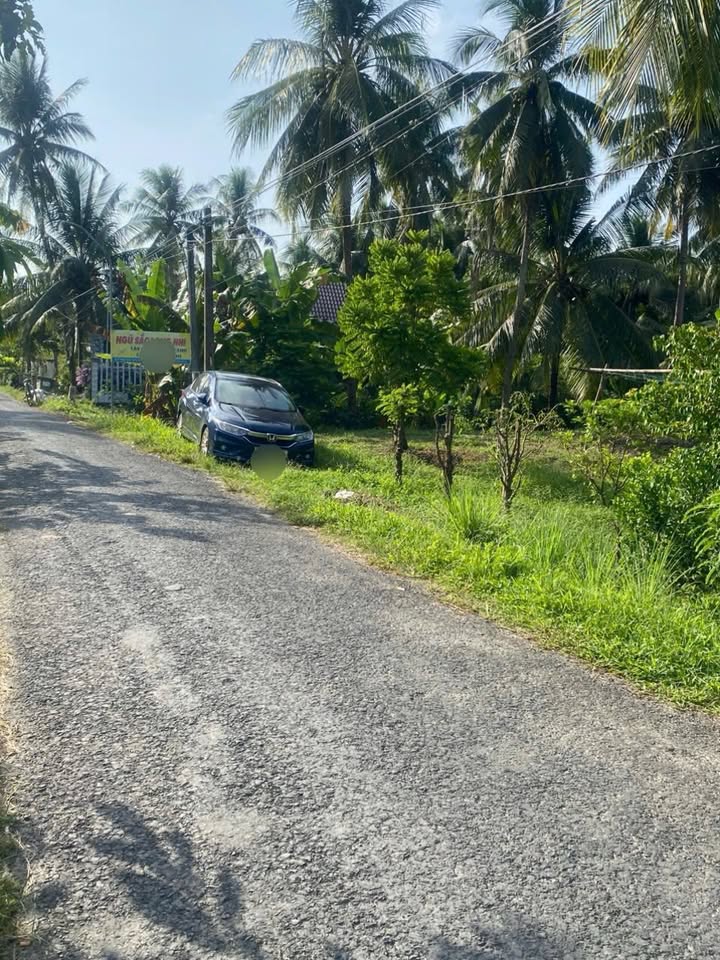 Mảnh vườn 2500m² tại Vũng Liêm, Vĩnh Long - Sổ đỏ chính chủ, giá thương lượng!