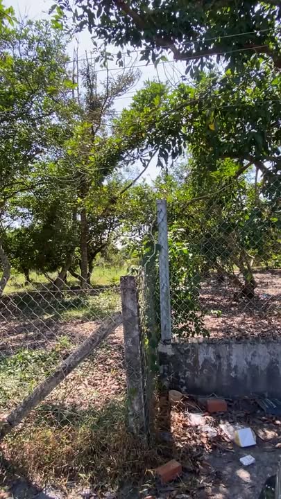 Đất vườn Hiệp Thạnh 400m² giá 1.4 tỷ - Gần khu công nghiệp