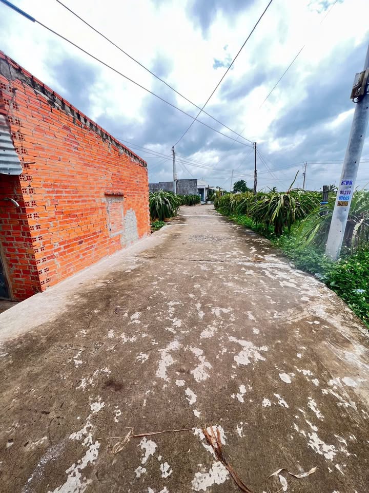 Đất cây trồng 1500m² Hàm Hiệp giá 1.4 tỷ - Mặt tiền bê tông chính