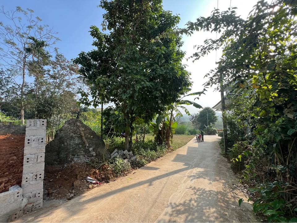 Đất thổ cư 655m² tại thôn Mít Mái, xã Yên Bài, Hà Nội - Phù hợp xây villa