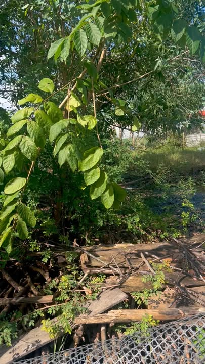 Đất nền Hòa Tiến Đà Nẵng 96m² giá chỉ 9xx triệu - Cơ hội đầu tư không thể bỏ qua!