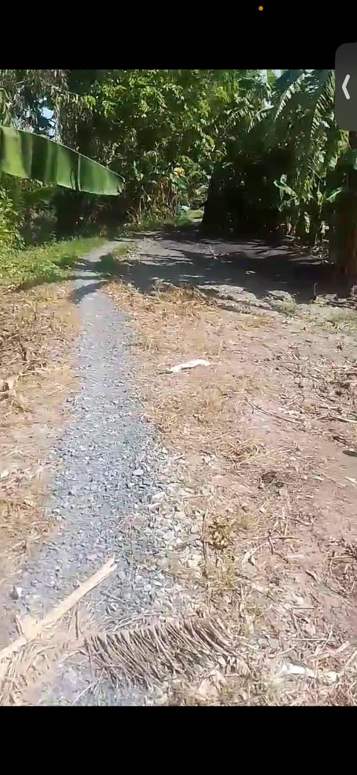 Đất nông nghiệp Ba Sao, Cao Lãnh, Đồng Tháp 6314m² - Mặt tiền rộng, giá hợp lý!