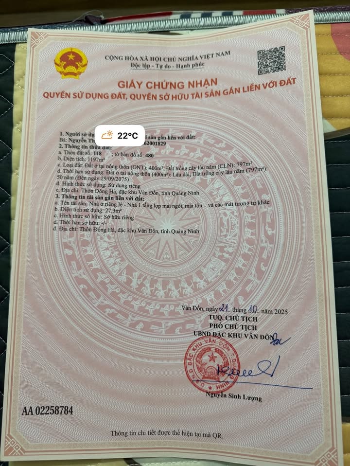 Đất nền đẹp Đông Xá Vân Đồn 1197m² giá thỏa thuận - Tiềm năng đầu tư cao!