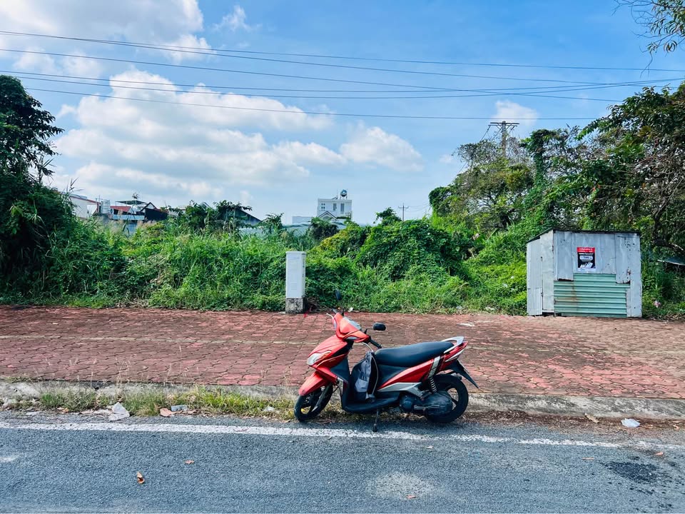 Đất nền mặt tiền Vành Đai 2 Tân Thành 117.6m² giá 3 tỷ - Đầu tư sinh lời ngay!