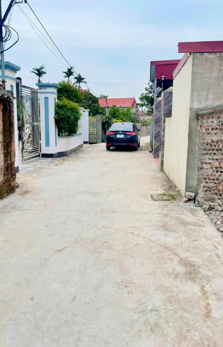 Đất nền An Tiến, An Lão, Hải Phòng 100m² giá 9xx triệu - Cơ hội đầu tư hiếm có!