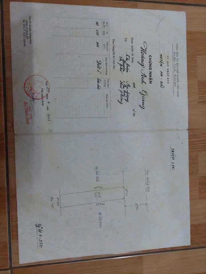 Nhà 3 tầng mặt đường 208, thị trấn An Dương 111m² giá 5.5 tỷ - Vị trí đắc địa kinh doanh!