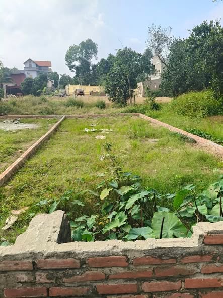 Đất thổ cư Nguyệt Đức 80m² giá 1 tỷ - Phong thủy tốt, mặt tiền rộng!