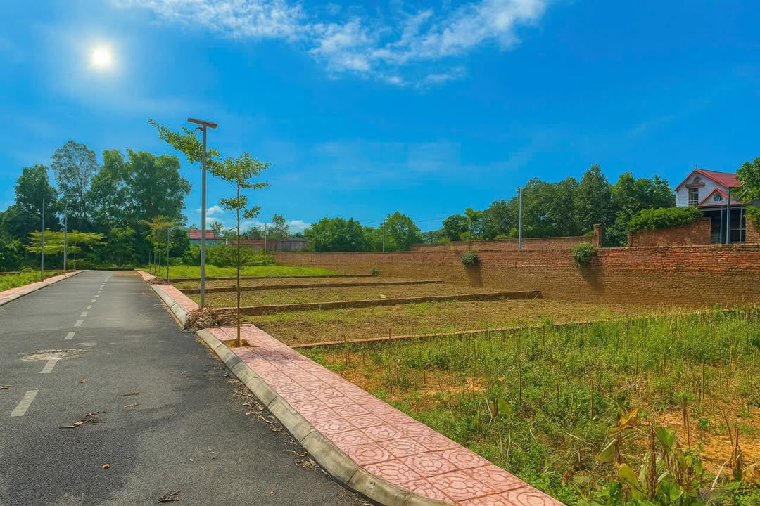 Đất nền lô góc 241m² tại Tiên Chu - Trung Giã giá chỉ 1.8 tỷ - Cơ hội đầu tư tuyệt vời!