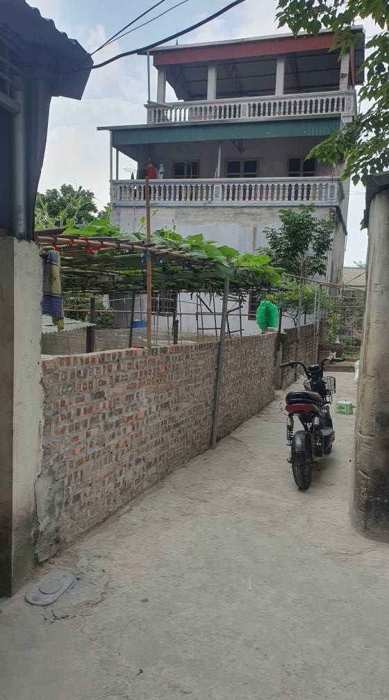 Đất Cổ Bi Gia Lâm 71m² giá 4.3 tỷ - Ngõ ô tô vào tận nơi!