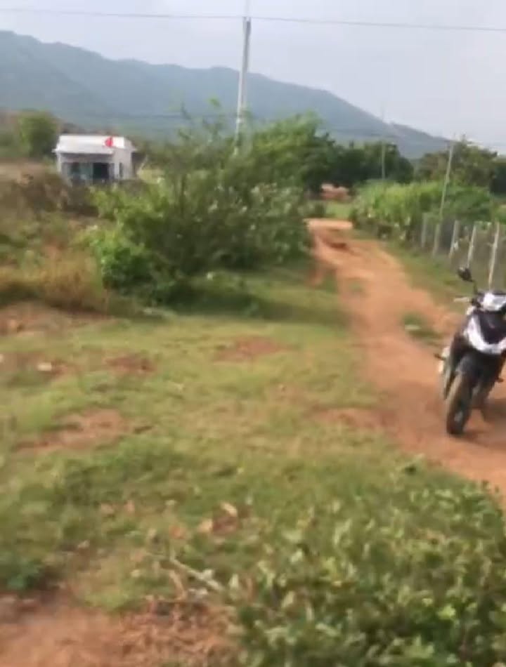 Đất nền thổ cư xã Phước Vinh 300m² giá chỉ 89 triệu - Đầu tư sinh lời tiềm năng!