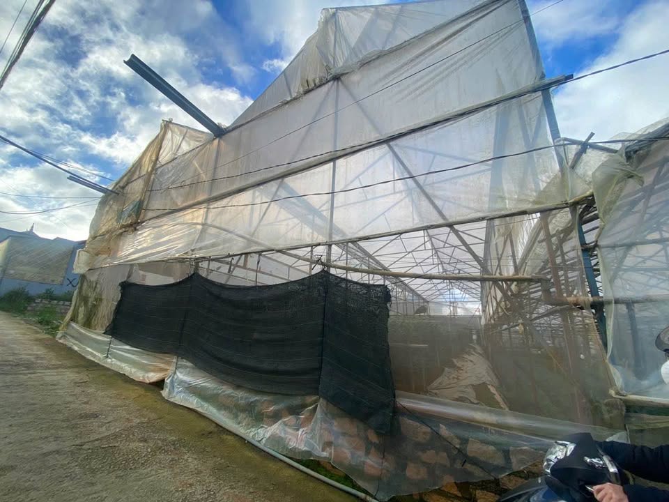 Đất nền Thái Phiên Đà Lạt 629,91m² giá 10,1 tỷ - Cơ hội đầu tư tuyệt vời!