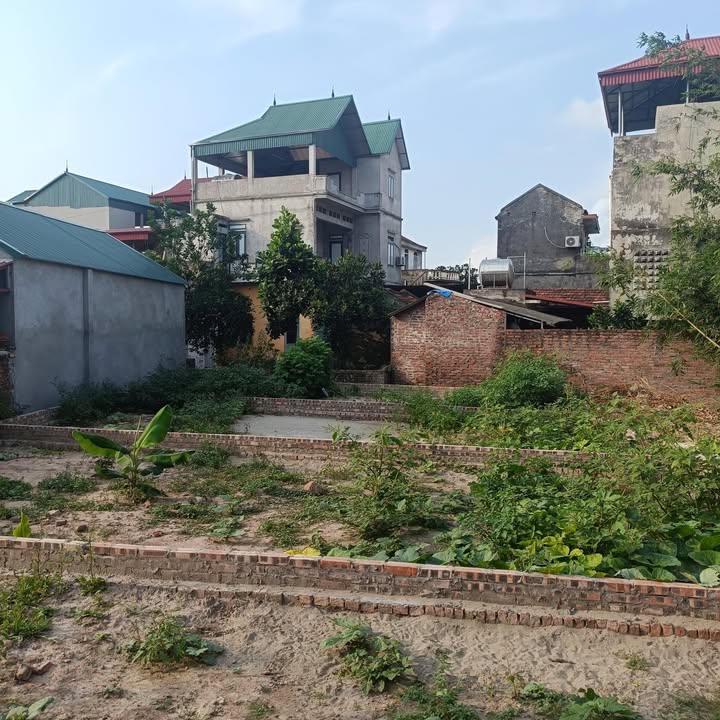 Đất ở đô thị Trà Lâm - 50m² giá 1.7 tỷ - Sổ đỏ chính chủ, xây dựng tự do!