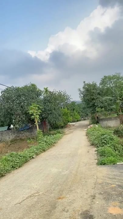 Đất vàng 629m² Phú Thành Lạc Thủy - Sổ đỏ chính chủ, đầu tư sinh lời ngay!