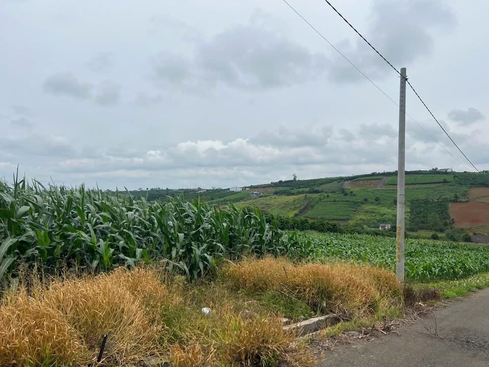 Đất Lộc Quảng - Bảo Lâm 175m² giá 4.5 triệu/m² - Cơ hội đầu tư tốt!