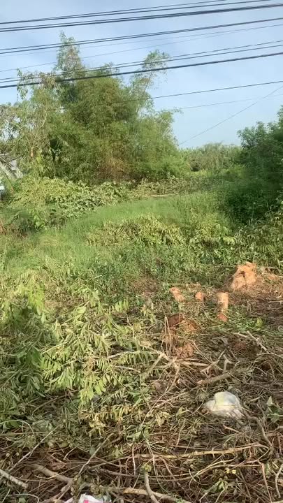 Đất nền mặt tiền Quốc Lộ 1A, 23m² giá chỉ 80 triệu - Cơ hội đầu tư sinh lời!