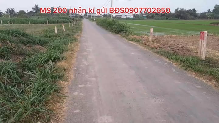 Đất nền mặt tiền đường nhựa Phú Thành, Đồng Tháp 168.76m² giá 390 triệu - Sổ đỏ chính chủ