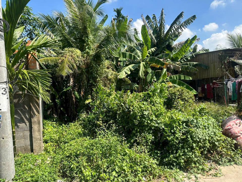 Đất vườn mặt tiền An Thạnh 39, 225m² giá 3.5 tỷ - Đầu tư sinh lời tiềm năng!